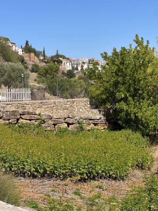 Molino Los Leones Villa Ronda Buitenkant foto